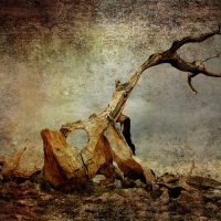 painting of a tree and wrecked landscape